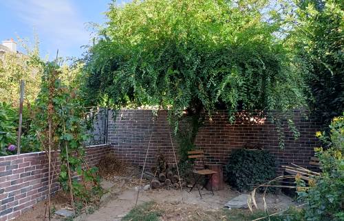 Construction d'un mur de clôture avec parement à Brest 29200