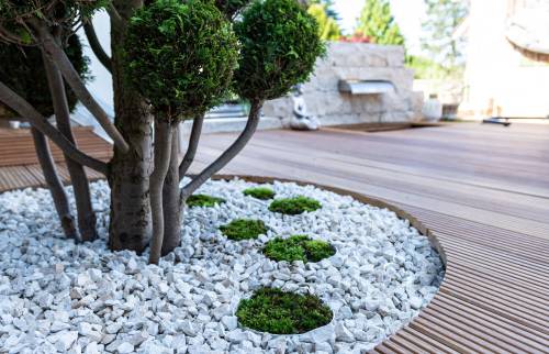 terrasse jardin