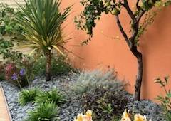 aménagement jardin les sables d'olonne