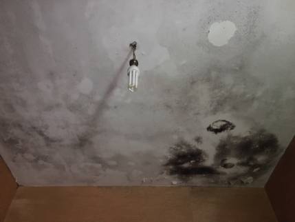 Plafond d'un appartement avant travaux de rénovation à Nantes 44