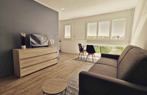 salon-séjour des appartements