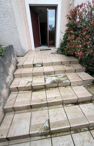 Rénovation d’un escalier extérieur (69340 FRANCHEVILLE)