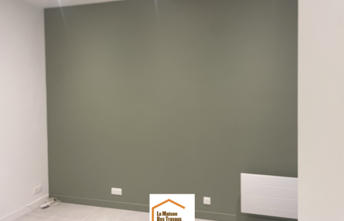 Levallois_20m2_04_local-pro_mur-accent_vert_radiateur