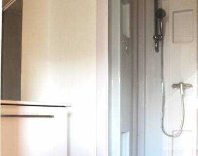 aménagement de combles en salle de bains