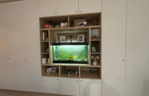 Aquarium intégré placard