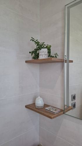Rénovation de salle de bain avec pose d'étagères murales - Pont d'Ain 01160