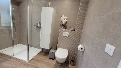 WC suspendu