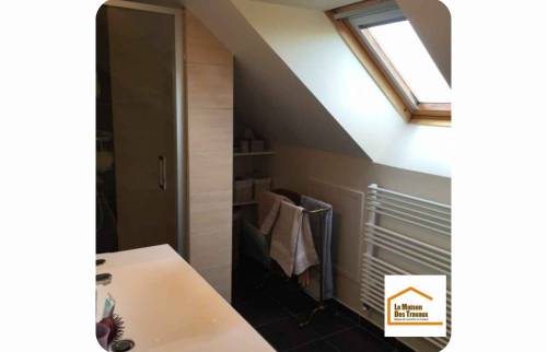 velux