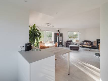 Rénovation de maison avec cuisine ouverte sur le séjour - Evian 74500