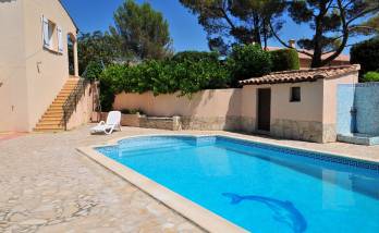 piscine motif dauphin