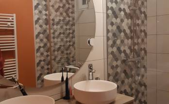 Nouvelle salle de bain rénovée - Meximieux 01