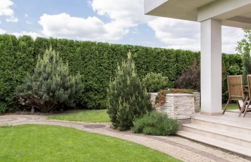 Allée de jardin 