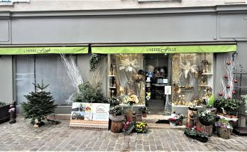 Ravalement de façade de devanture de boutique fleuriste - Brie-Comte-Robert 77170