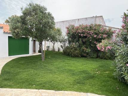 Rénovation pelouse Fours