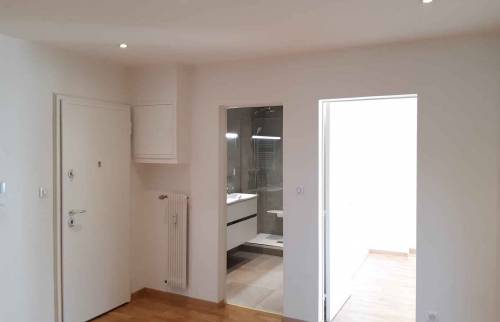 Porte blindée, parquet, peinture à Thann