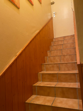 Ancien escalier rénové Craponne