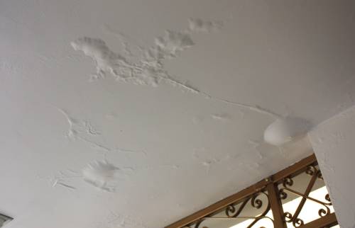Rénovation plafond