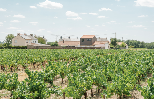 Création d'une surélévation à Vertou - vue sur le vignoble