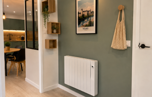 Rénovation appartement à Saint-Avertin (37550)