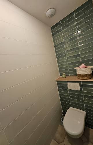 WC rénové avec Faïenece Zellige verte