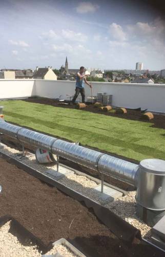 Toiture végétalisée à Chelles