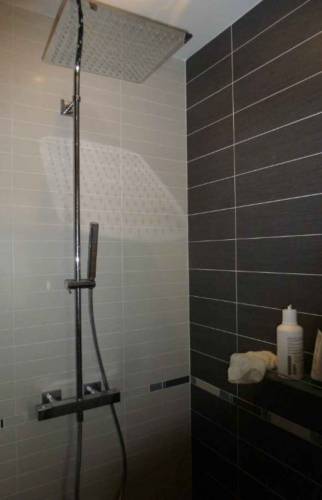 Douche rénovée à Antony