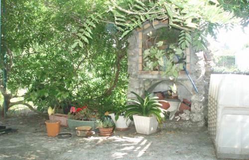 Pergola envahie de glycines