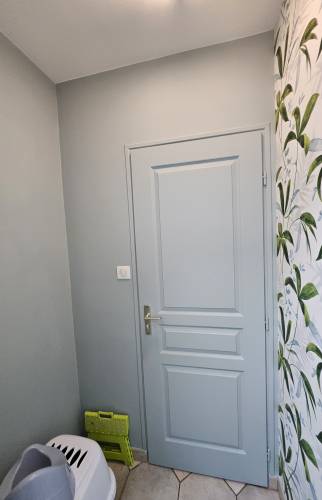 Choix de la teinte pour la porte et le mur des WC