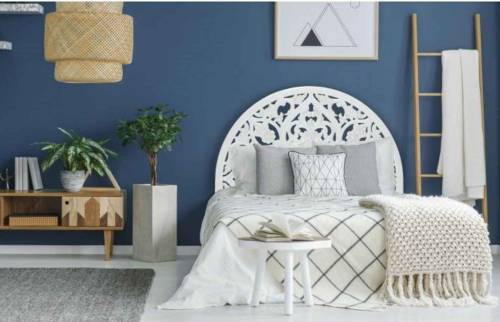 chambre design avec un mur bleu et des plantes décoratives