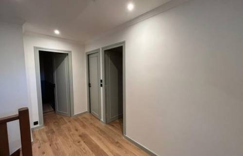 Peinture murs et plafonds hall (69340 FRANCHEVILLE)