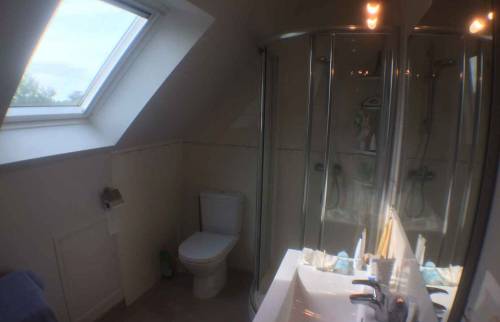 Mise en place d'un VELUX plus grand dans la SDE