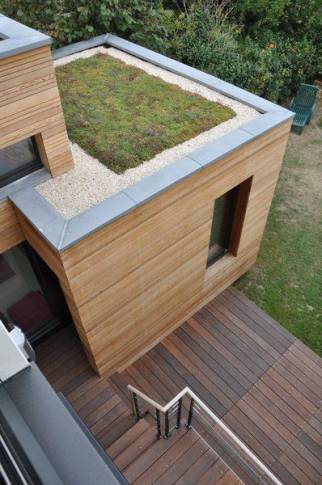 extension toit plat végétalisé - bureau atelier véranda