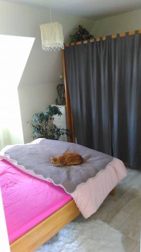 Peintures sur toile à peindre et sols PVC dans la chambre de l'étage