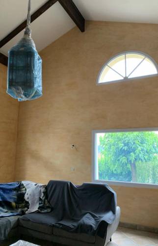 Rénovation de salon à Vienne