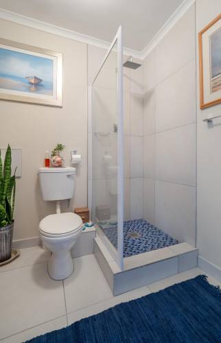 Salle d'eau avec receveur douche surélevé, installation VMC, WC, plafonds leds - Crécy-la-Chapelle - 77580 -