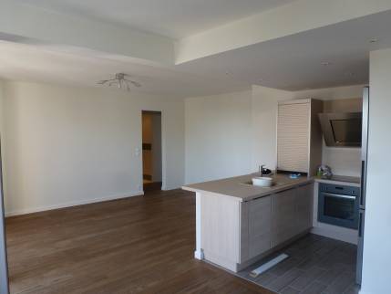 Aménagement salon et cuisine ouverte Craponne