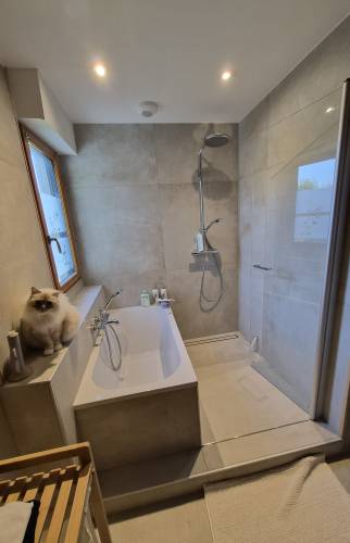Vue sur l'espace douche et bains