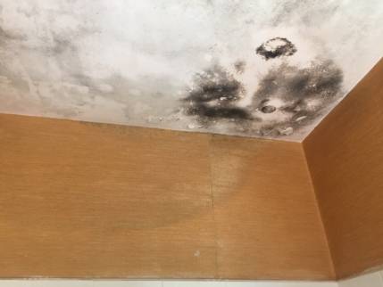 Plafond abîmé dans un appartement à Nantes 44