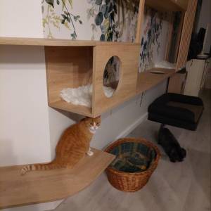 Meuble arbre à chat sur mesure - Carole Barthez - La Maison Des Architectes