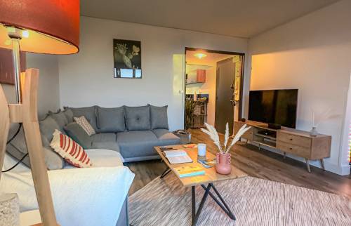 Photo salon appartement