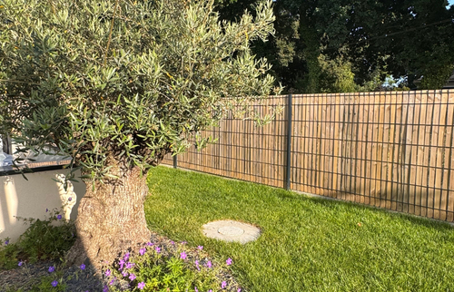 Évolution du jardin un an après la réalisation : les clôtures et les plantations s’intègrent naturellement à l’environnement.