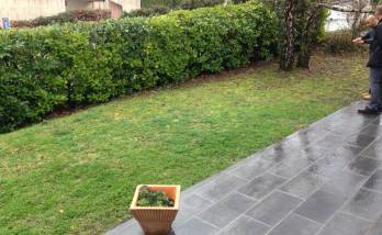 Construction d'une terrasse en bois