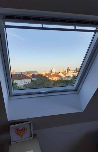 Velux, lucarne de toiture à Saint Louis