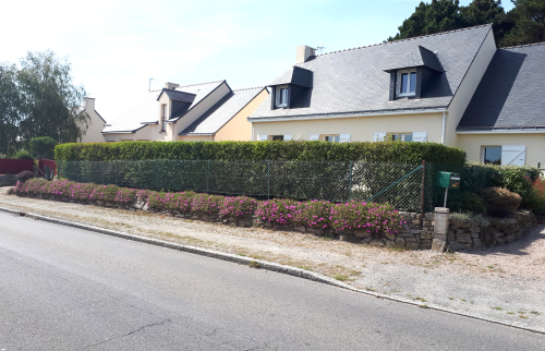 AVANT haie végétale et grillage