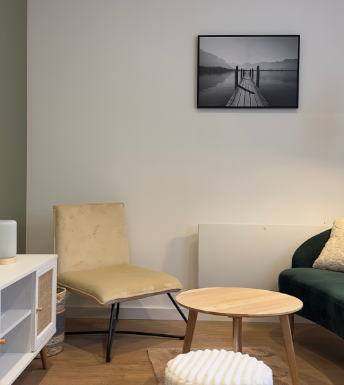 Rénovation salon - appartement à Lons-le-Saunier