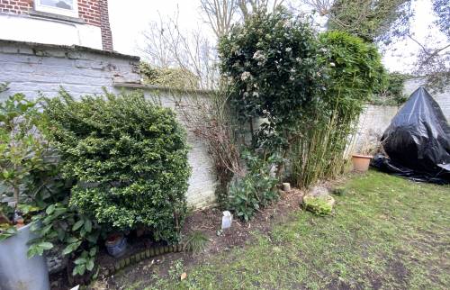 Composé une rénovation avec la végétation existante 