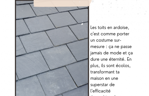 Rénovation Magique : Comment une Toiture Bretonne a Retrouvé sa Splendeur