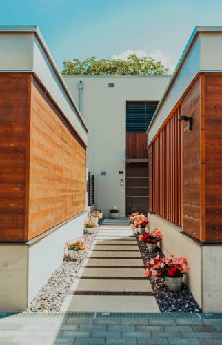 allée jardin 1