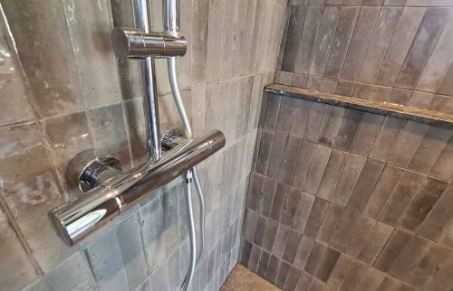 Mitigeur de douche