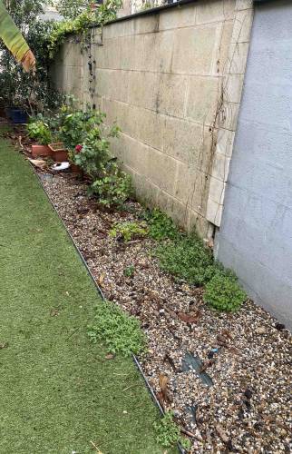 Aménagement Jardin AVANT